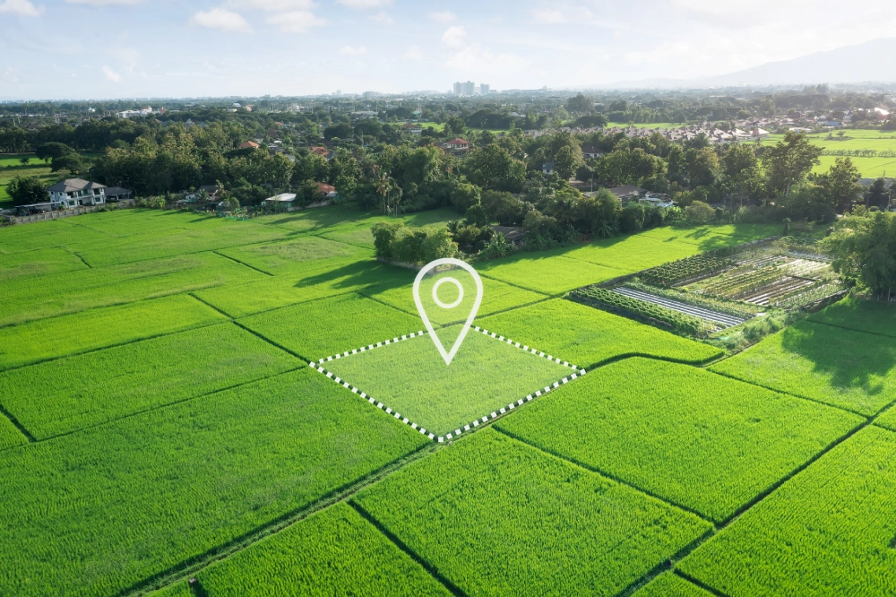 Location icon on the field with green color