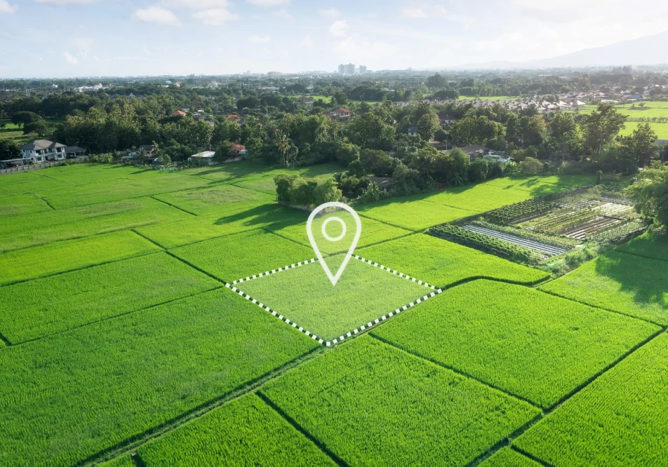 Location icon on the field with green color